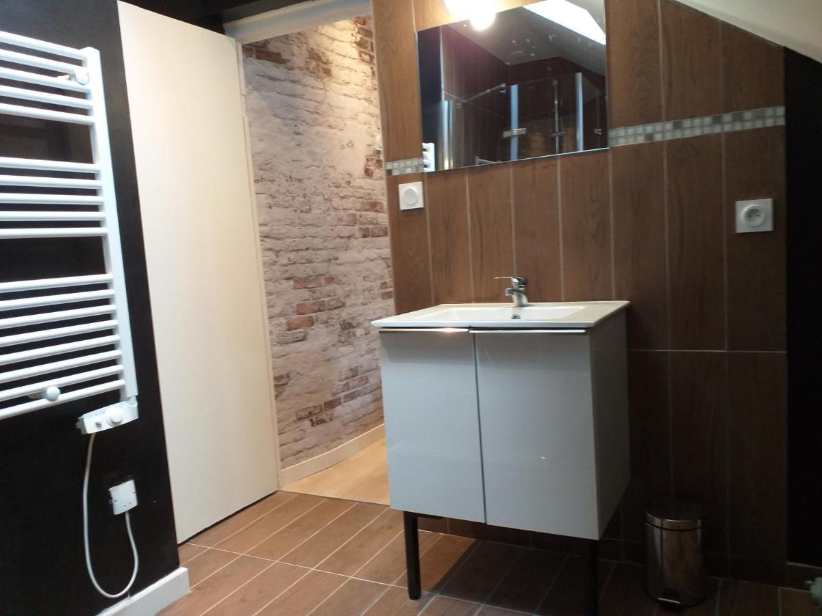 Les Volets Bleus - Deux Appartements Et Un Studio, Jardin Бурж Екстер'єр фото