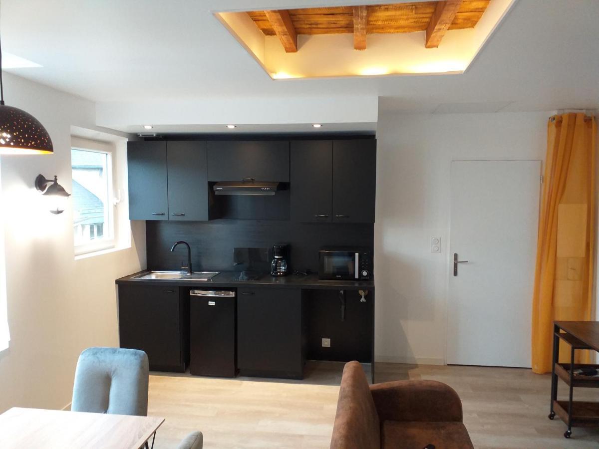 Les Volets Bleus - Deux Appartements Et Un Studio, Jardin Бурж Екстер'єр фото