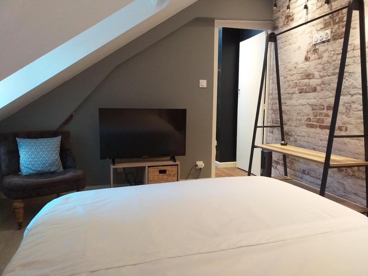 Les Volets Bleus - Deux Appartements Et Un Studio, Jardin Бурж Екстер'єр фото